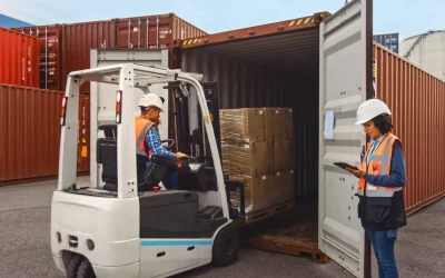 Container Stuffing and Destuffing